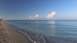 images (20)